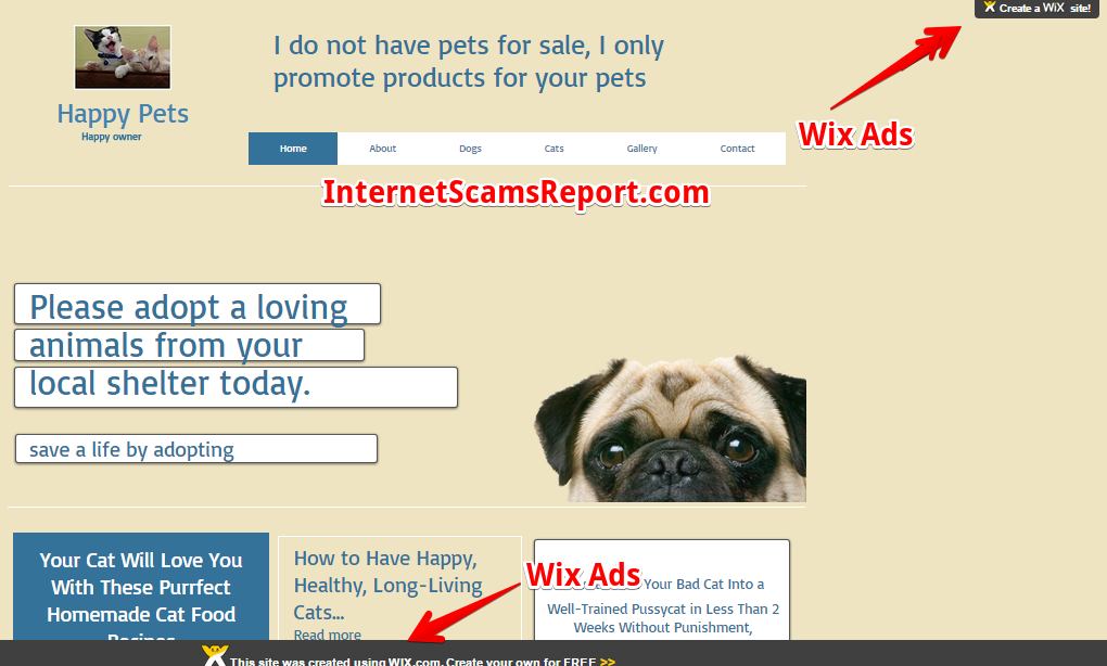 Is Wix a Scam?