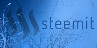 Is Steemit A Scam